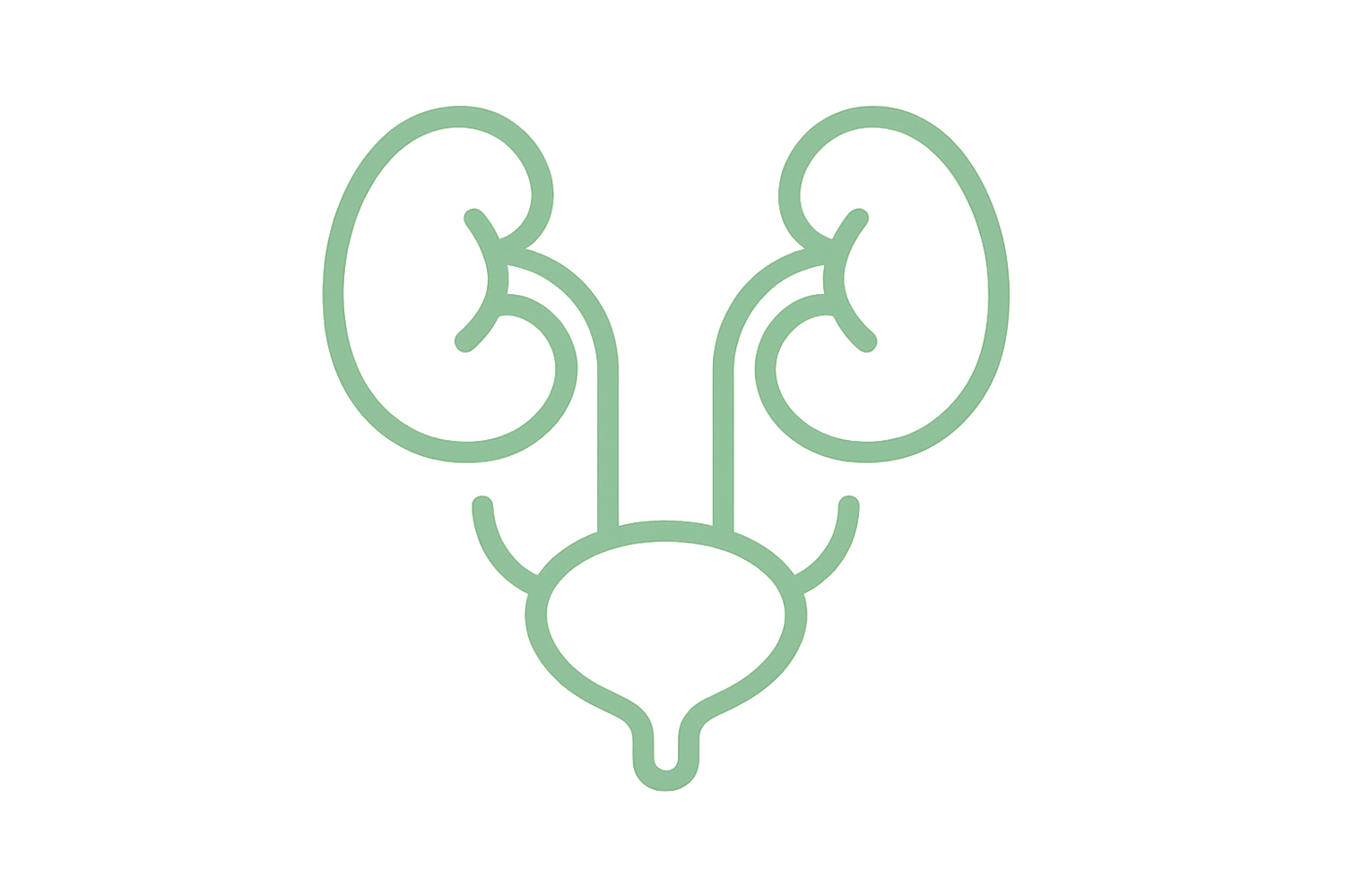 Urologia