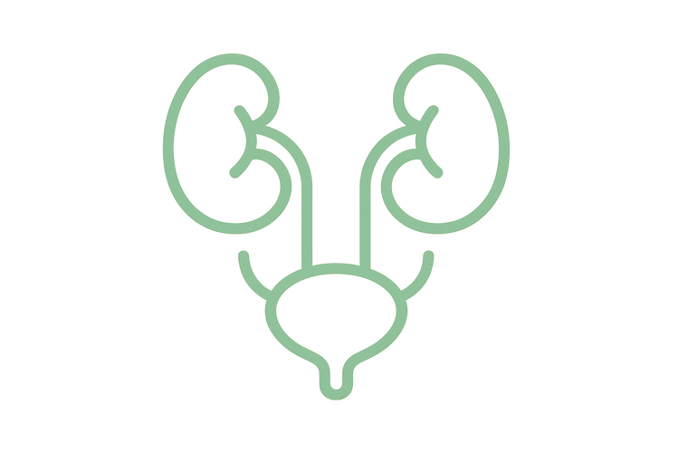Urologia