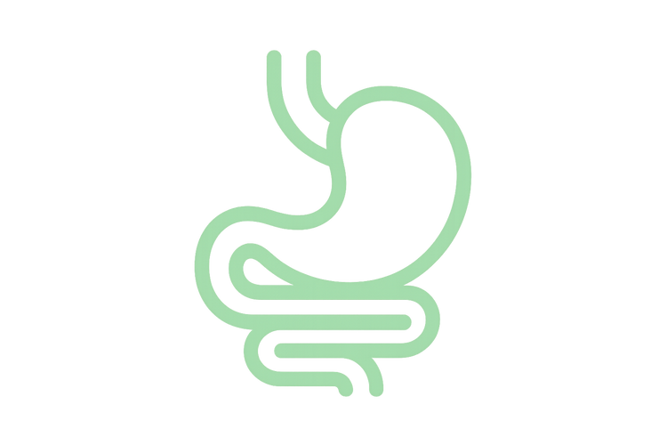 Gastroenterologia